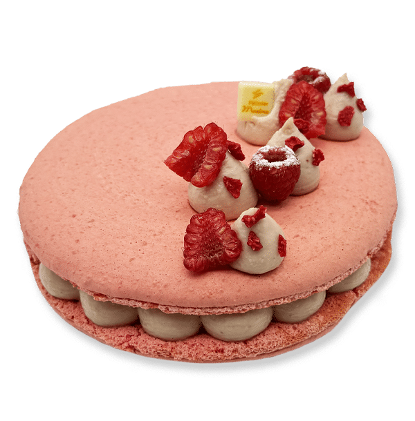 Macaron Framboise-rose-litchi